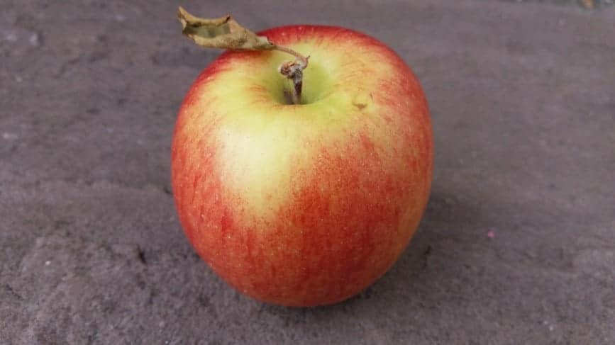 Redish green apple against a dark grey surface