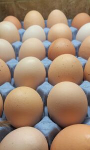 Superfoods - Eggs