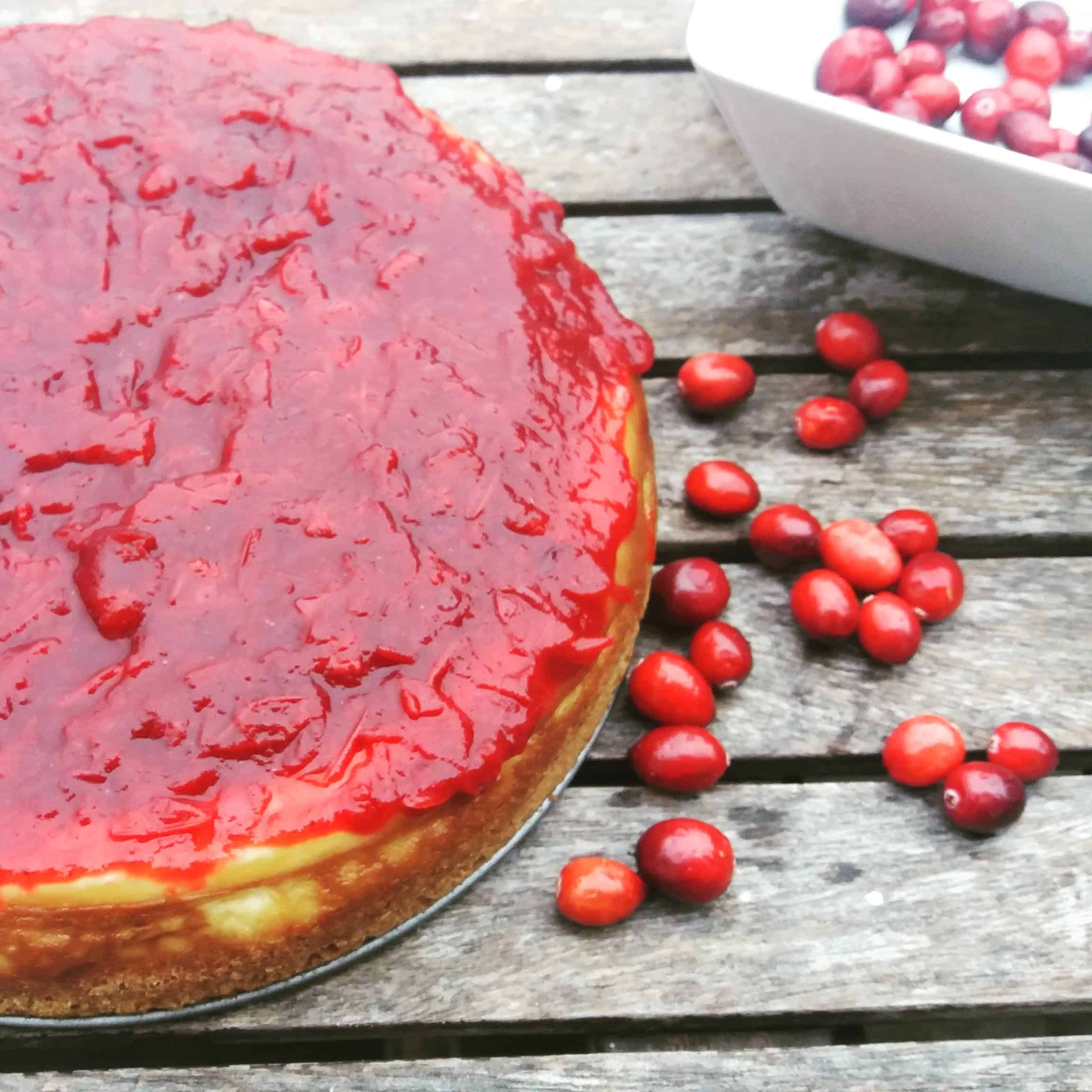 cranberry cheesecake with some raw cranberries scattered around