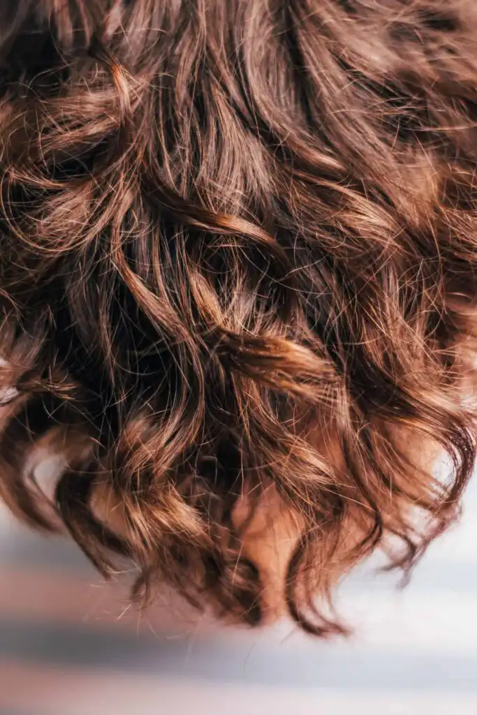 IBS and Hair Loss 1 Brown curly hair - IBS & Hair loss - Goodness Me Nutrition
