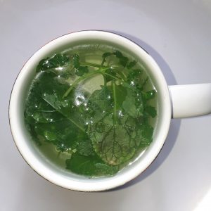 Mint leaves in a white mug against white background