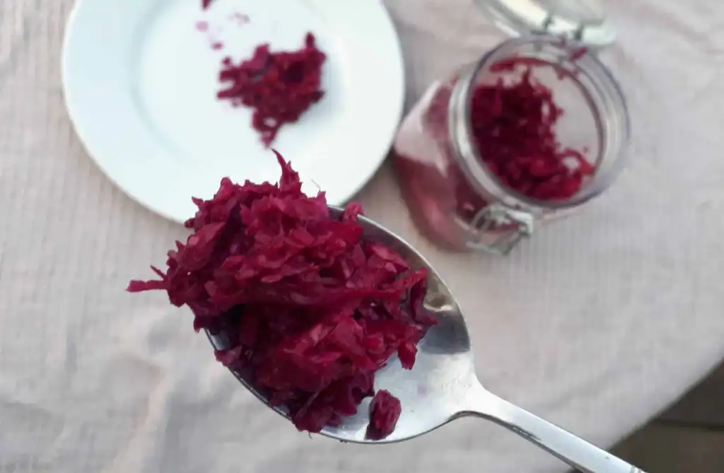 Are fermented foods for IBS - a good idea? 1 spoon-red-cabbage-sauerkraut-fermented-foods