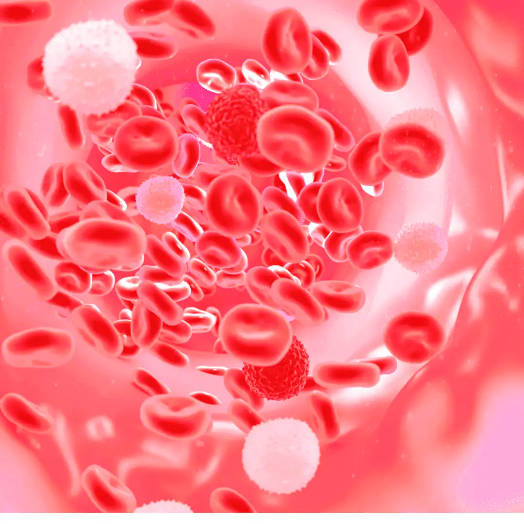 graphic of red blood cells in blood