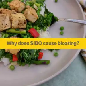 why does SIBO cause bloating goodness me nutrition 1