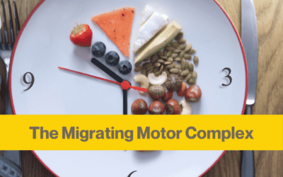 What is the Migrating Motor Complex & how to fix it