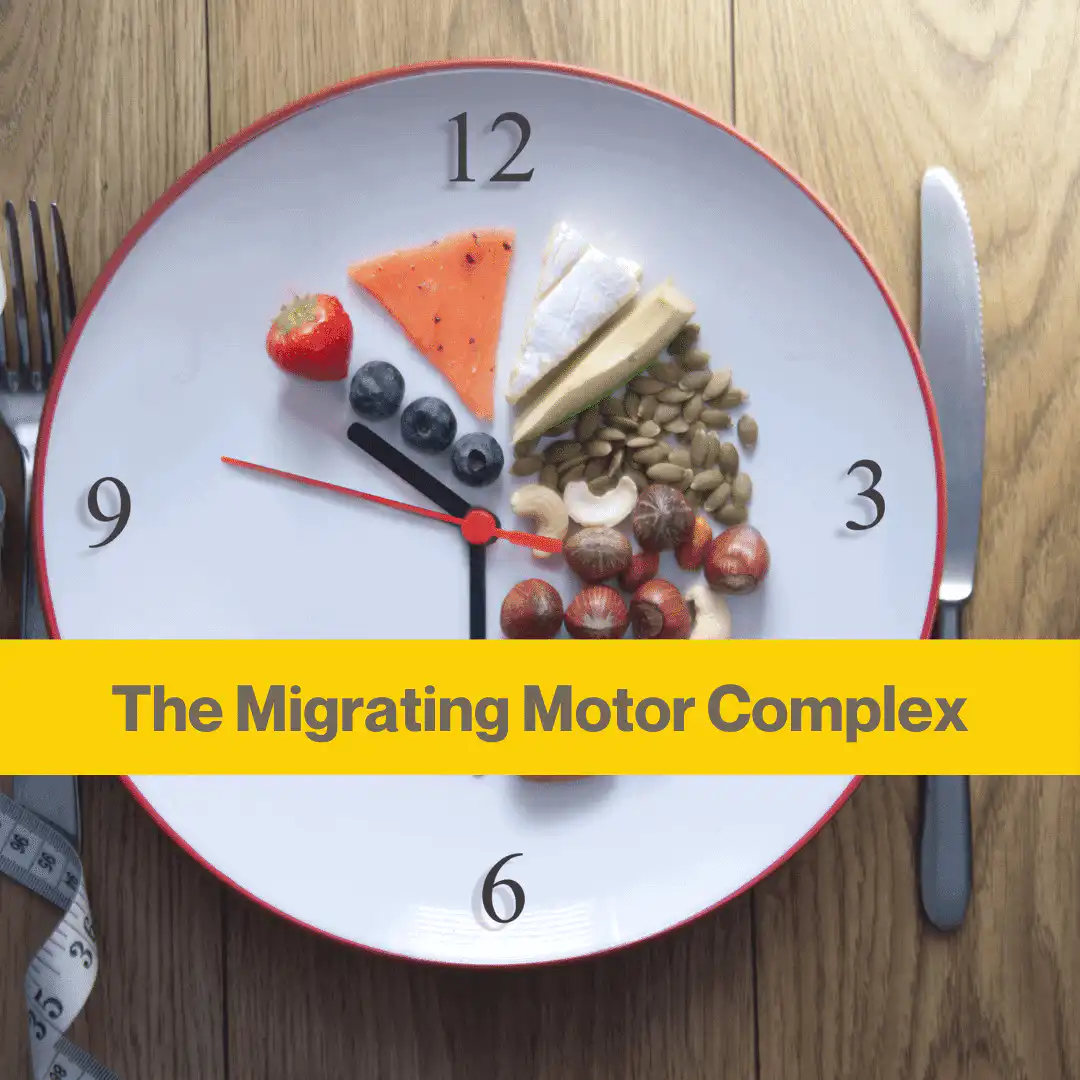 White plate on a wooden table. On the plate are numbers 12,, 3, 6, 9 and some clock hands. Some nuts and fruit are distributed on the plate between the clock hands, leaving a portion blank.