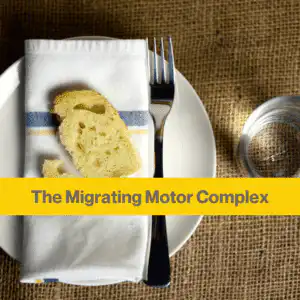 Migrating motor complex (2) White napkin and piece of white bread on a white plate with a fork. Next to the plate is a glass of water.