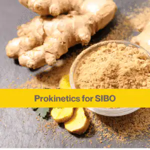 Some pieces of ginger root and a bowl of ginger powder. Yellow banner with the words prokinetics for SIBO in brown.