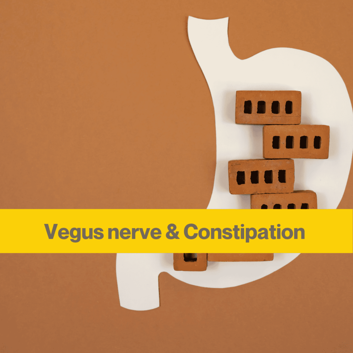 Your vegus nerve and constipation - 7 ways to help