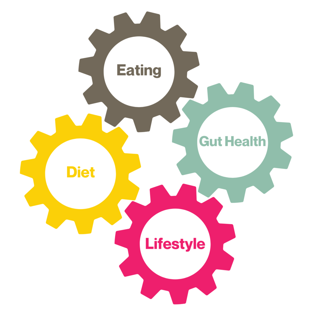 Gut Reset method - IBS nutrition support 1 Gut Reset Cogs Model