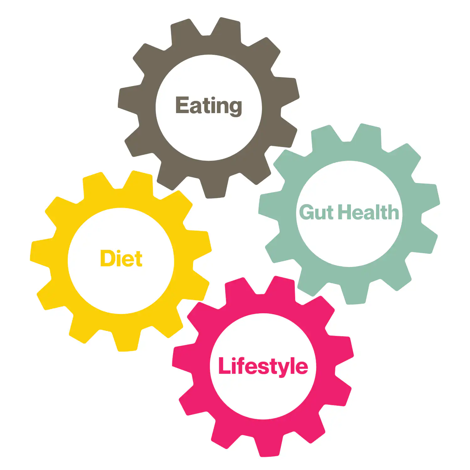 Gut Reset Cogs Model