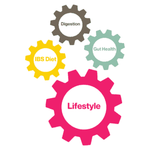 4 cogs linking together in a circle with words in the centre of each one, the largest is pink saying lifestyle, light green is Gut Health, yellow is IBS Diet, Brown is Digestion.