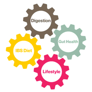 4 cogs linking together in a circle with words in the centre of each one, pink is lifestyle, light green is Gut Health, yellow is IBS Diet, Brown is Digestion.
