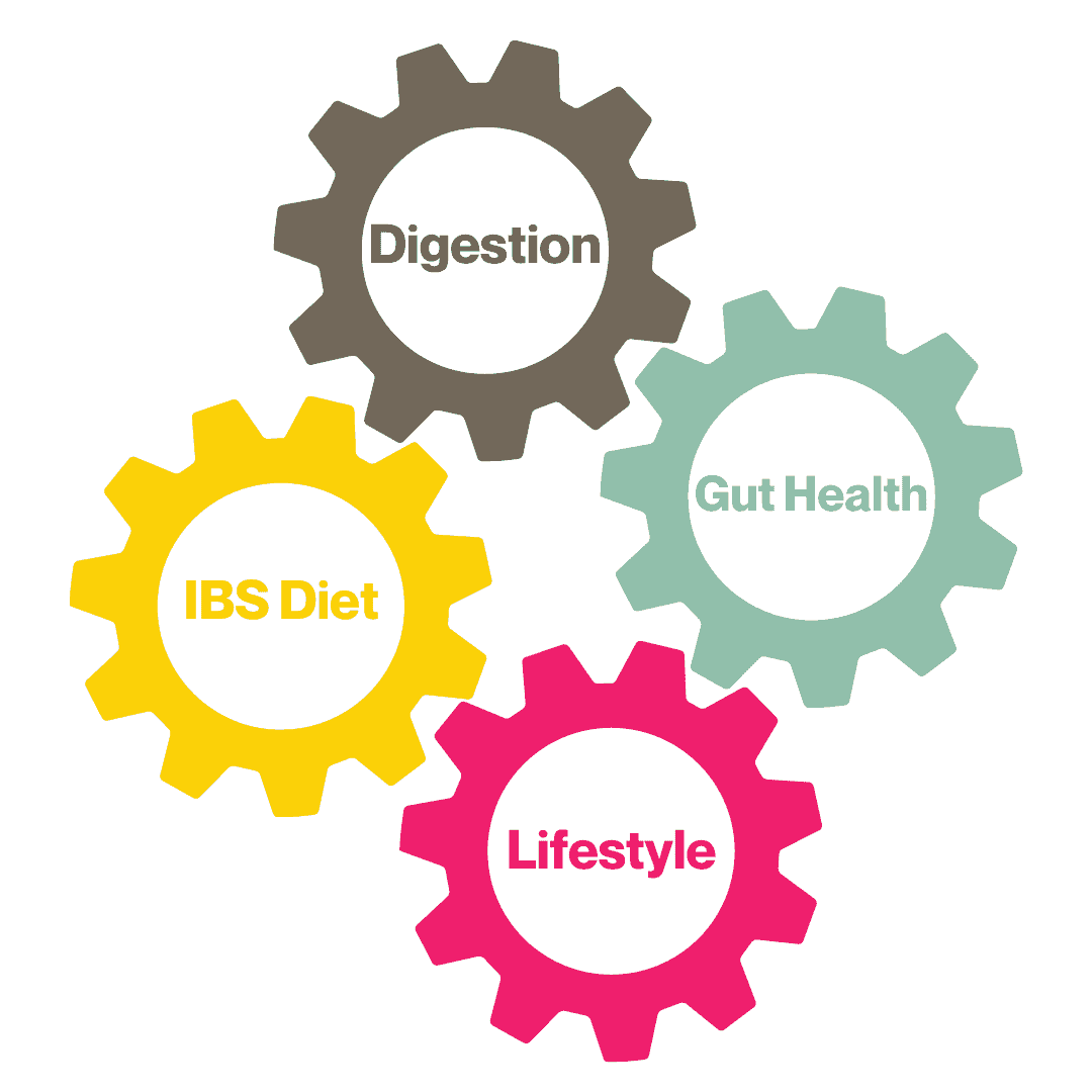 4 cogs linking together in a circle with words in the centre of each one, pink is lifestyle, light green is Gut Health, yellow is IBS Diet, Brown is Digestion.