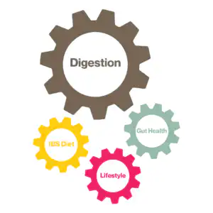 Gut Reset - goodness me nutrition (3) 4 cogs linking together in a circle with words in the centre of each one, pink is lifestyle, light green is Gut Health, yellow is IBS Diet, the largest one is Brown is Digestion.