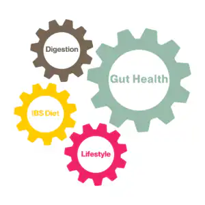 Gut Reset - goodness me nutrition (5) 4 cogs linking together in a circle with words in the centre of each one, pink is lifestyle, the largest one is light green saying Gut Health, yellow is IBS Diet, Brown is Digestion.