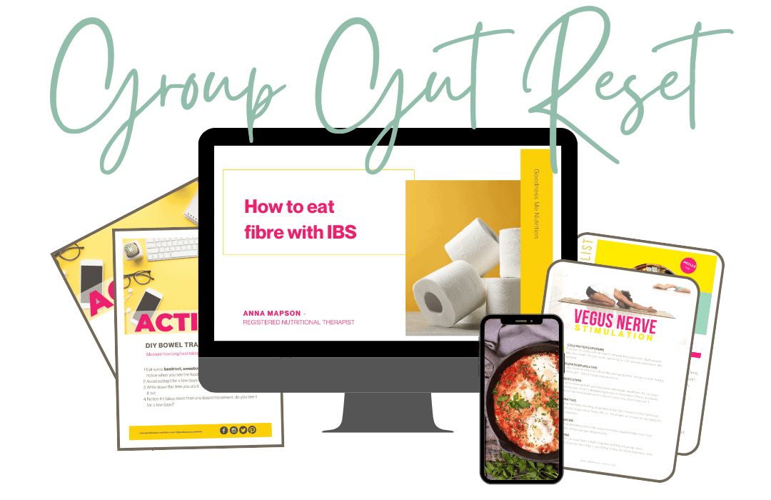 Image of downloads, recipes and videos for the group gut reset course