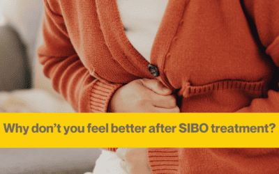 8 reasons you don’t feel any better after SIBO treatment