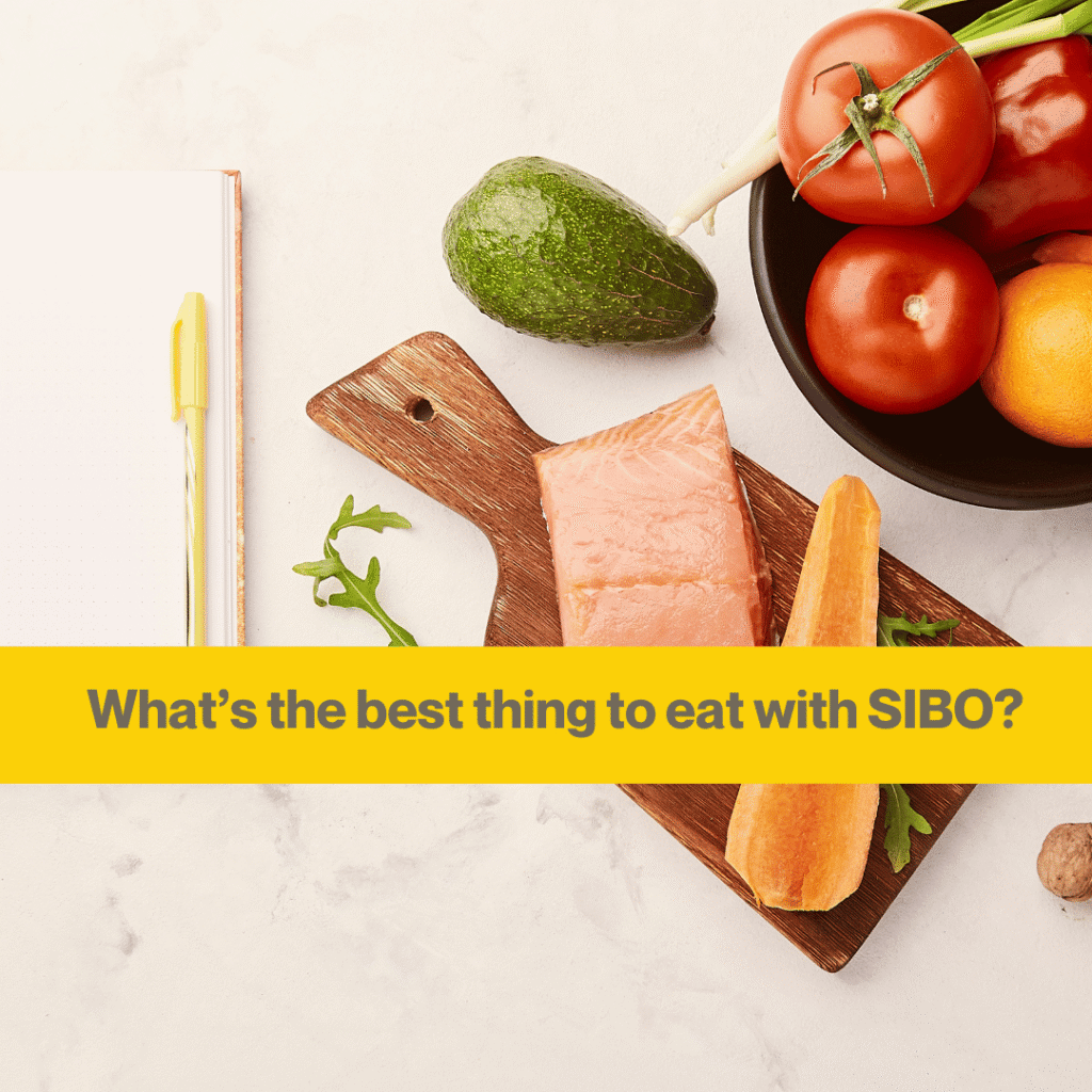 What’s the best SIBO diet for treating and getting rid of symptoms? 2 white background with pieces of salmon, avocado and tomatoes in a bowl. The words