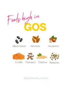 GOS foods drawings of foods high in GOS including black beans, almonds, hazelnuts, lentils, flaxseed, cashews, pistachios
