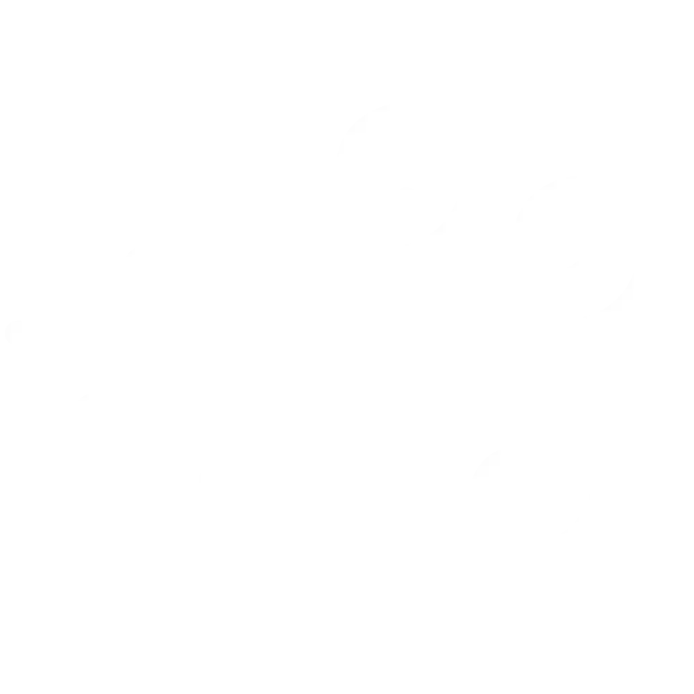 Personalized Diet light icon