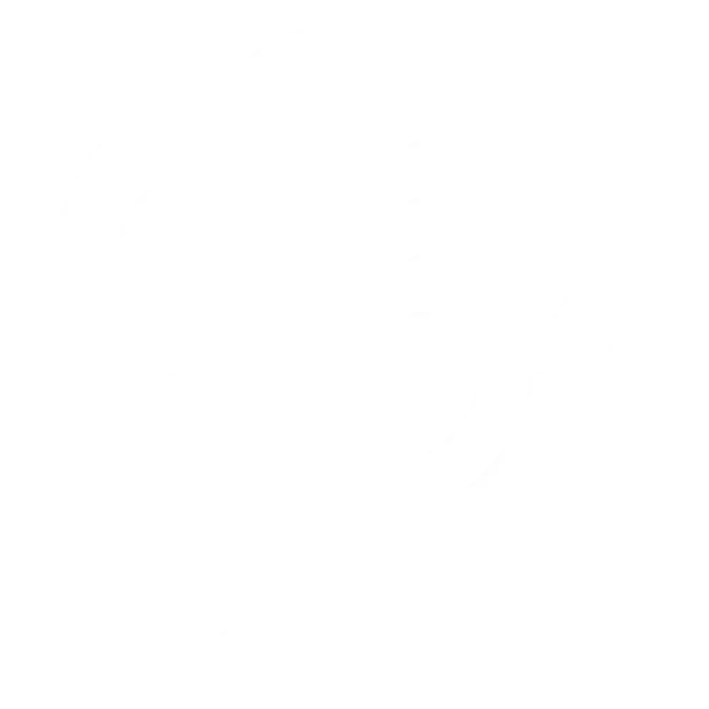 Personalized Diet light icon