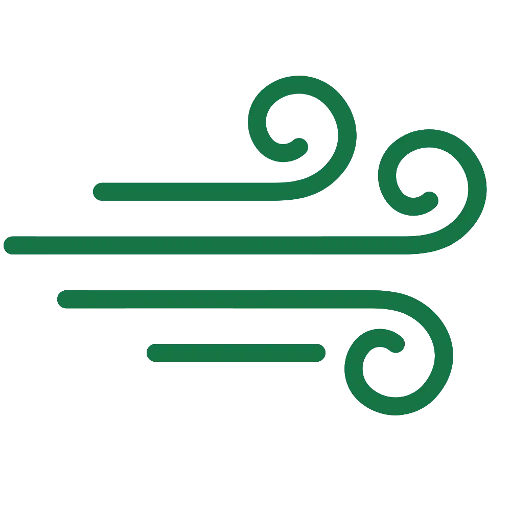 Personalized Diet icon