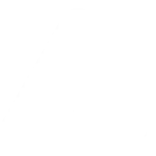 Weight Management light icon