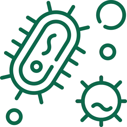 Personalized Diet icon
