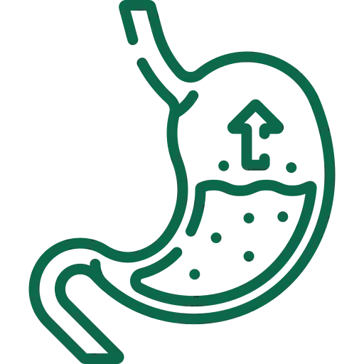 Personalized Diet icon