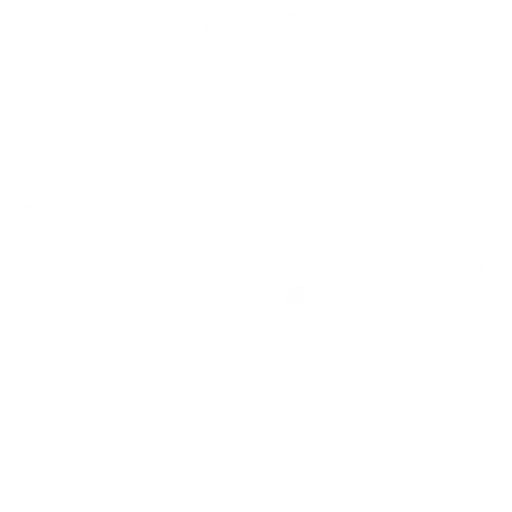 Personalized Diet light icon